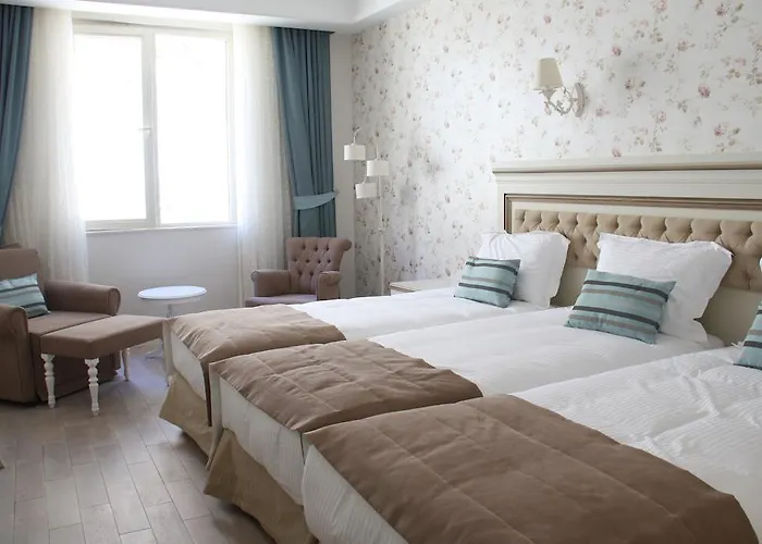 Hotel Rezone Health & Oxygen Kazdaglari 3*