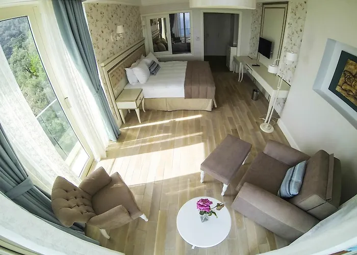 Rezone Health & Oxygen Kazdaglari