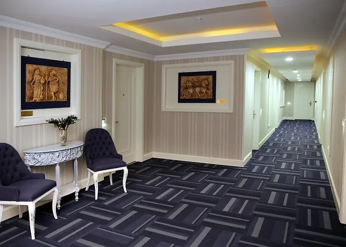 Rezone Health & Oxygen Kazdaglari